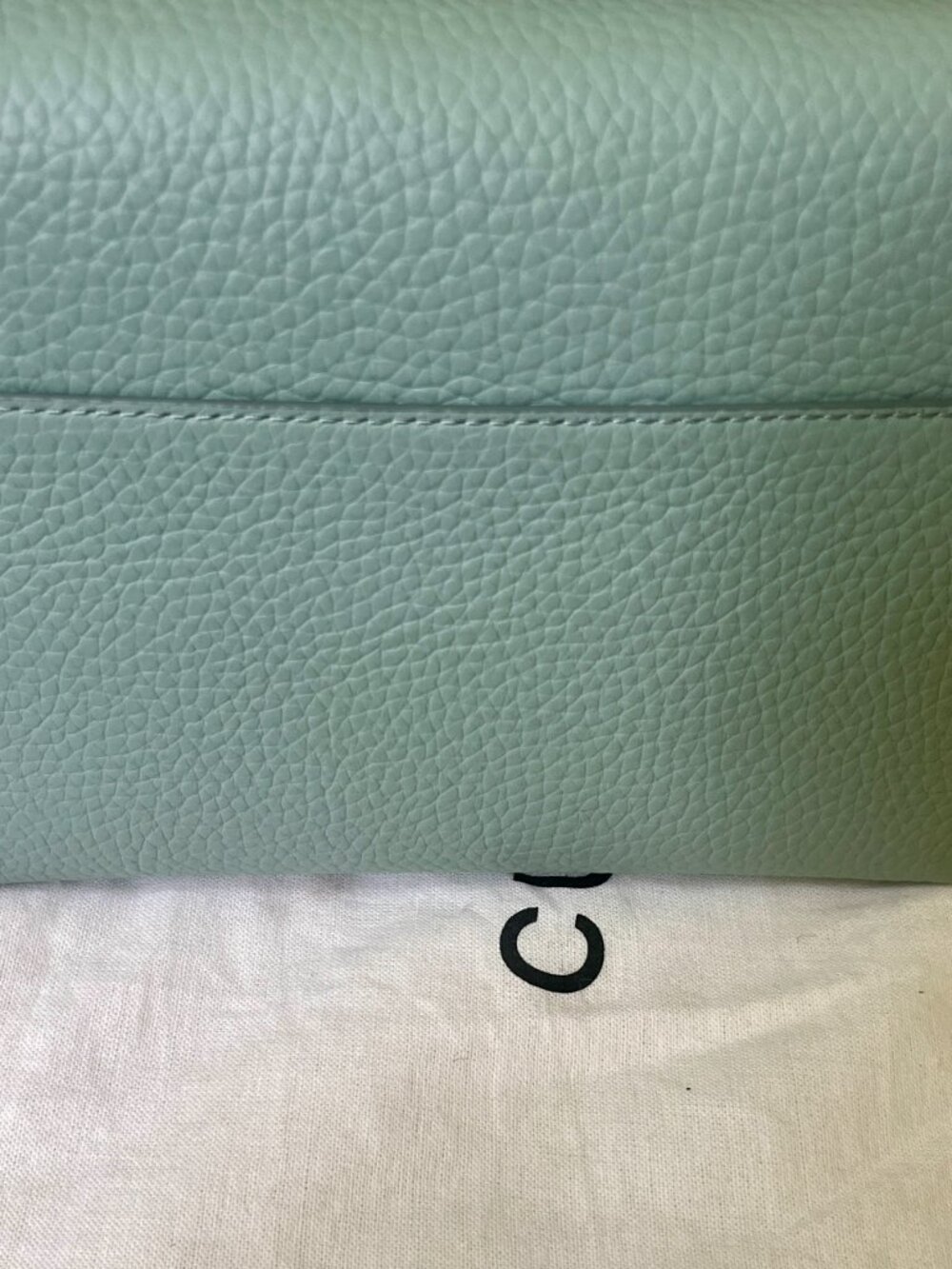 CUYANA Linea Bucket Bag in Mint, Pebbled Leather Tote Purse - Picture 7 of 9